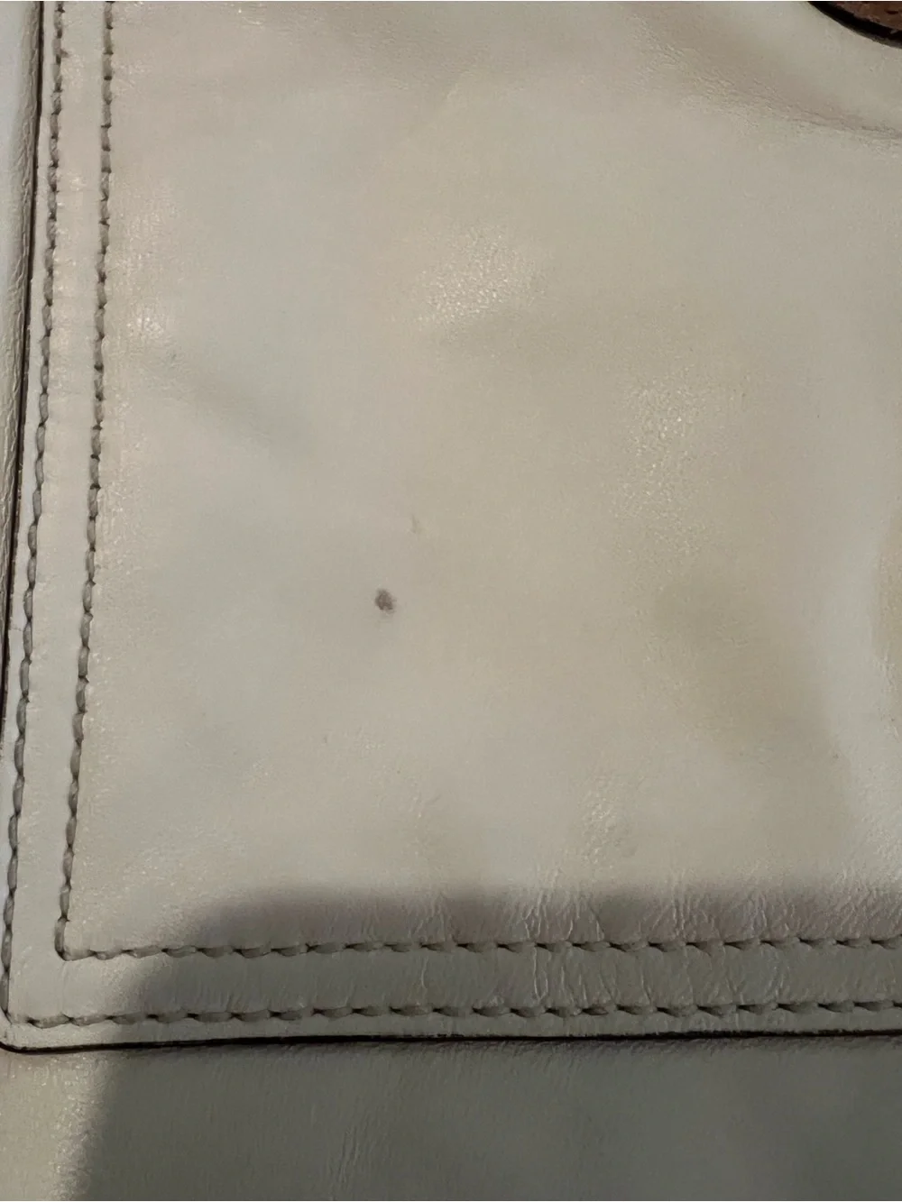 Coach Penelope Turnlock Crossbody Cream w/ Brown Snakeskin